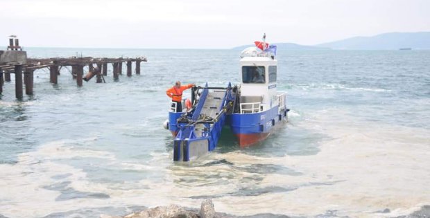 Kartal Sahilleri Deniz Salyasından Temizleniyor